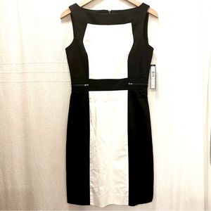 BNWT Tahari Vincent Dress 4